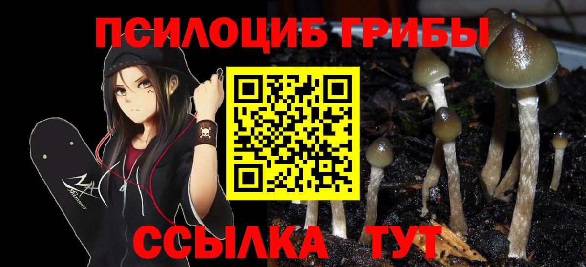 Псилоцибиновые грибы прущие грибы  Галлюциногенные грибы MAGIC MUSHROOMS  Новосибирск  Вход с VPN 